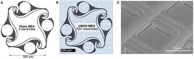 Engineered Biological Neural Networks on High Density CMOS Microelectrode Arrays